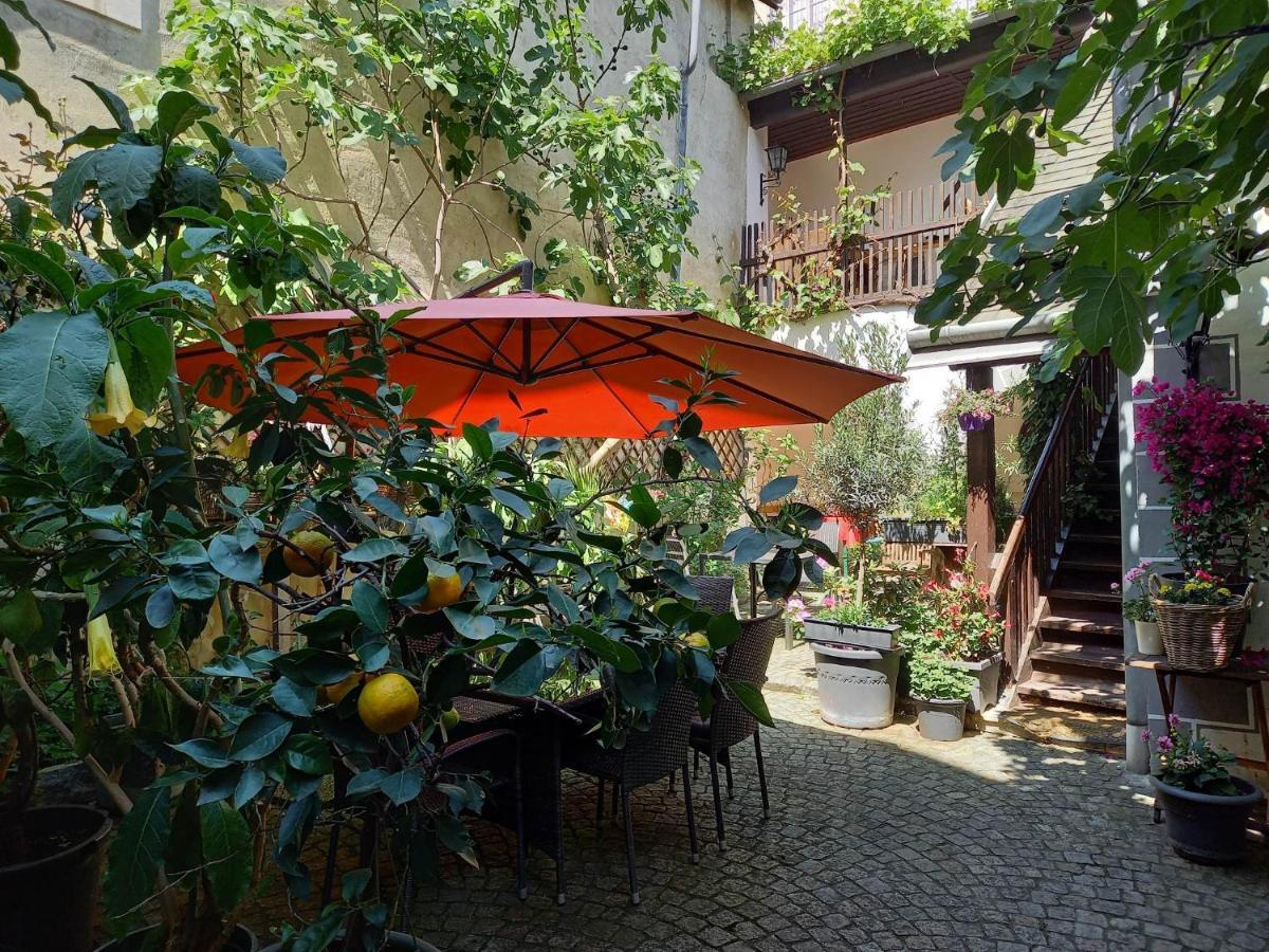 Gaestehaus Auf Der Kunstmeile Krems an der Donau Exterior photo